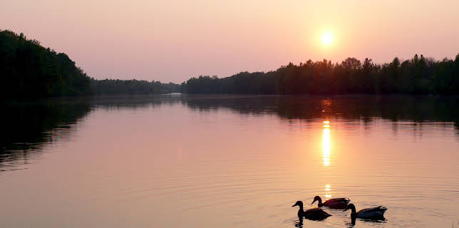13:25: Kamp - Ein Fluss für alle Sinne | 3SAT | 1/25 2026