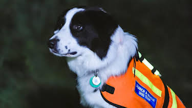 1:25 PM: Dog Squad (S2) | Cbeebies | 2/6 2026