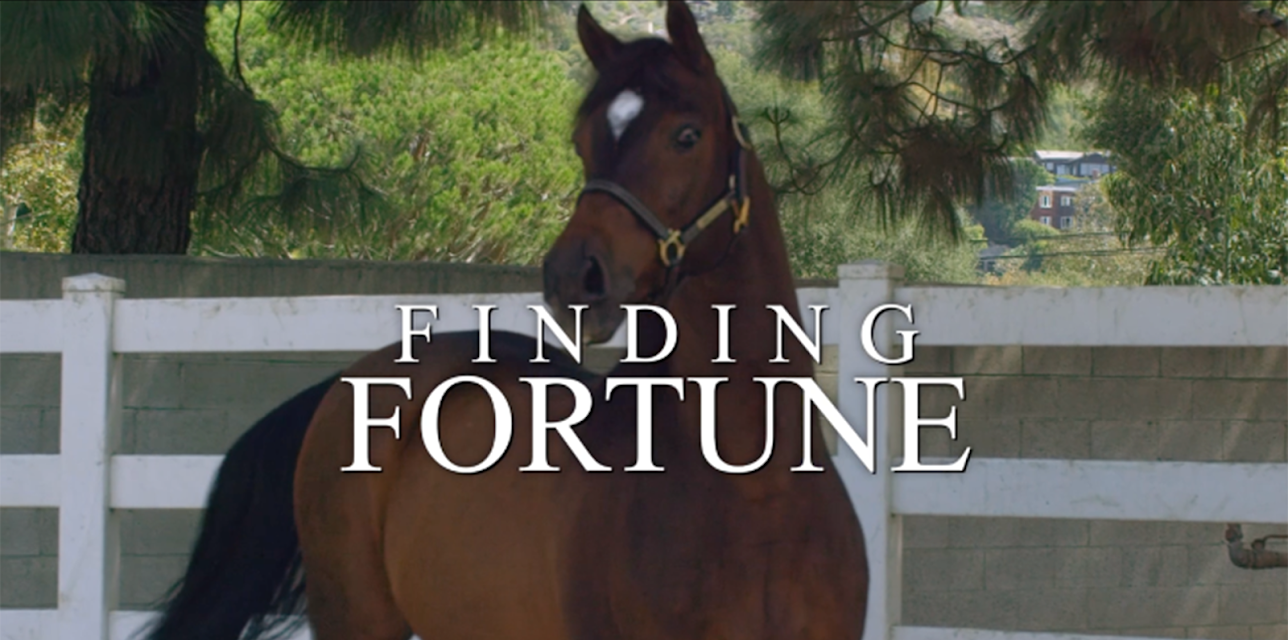 Finding Fortune (2016)
