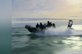 The Great Shark Chase: The Great Shark Chase