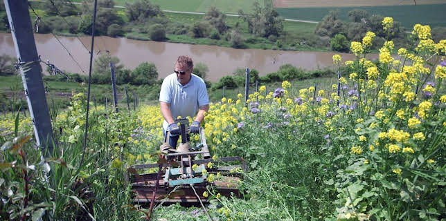 03:05: Die wunderbare Welt der Weine (8/10) | Arte | 2/26 2026