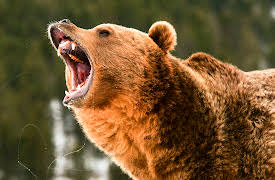 I Was Prey: Episode 1