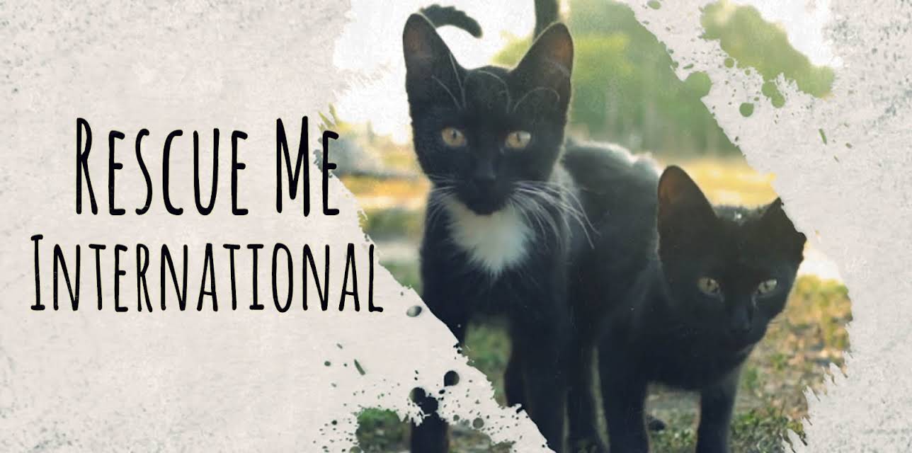 Rescue Me: International - Cat Rescue (2020)
