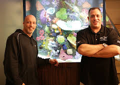 Tanked