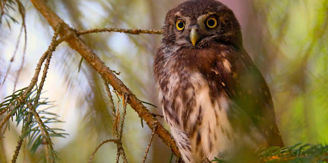 16:30: Erlebnis Erde: Wildes Wendland | WDR Fernsehen | 3/8 2026