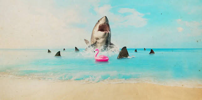 Florida's Death Beach (2025)