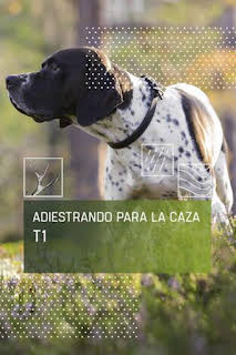 02:00: Adiestrando para la caza: La obediencia | Caza y Pesca | 7/15 2026