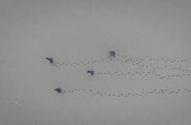 Siren: Survive the Island: Let's Have Faith in Our Strength