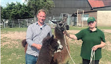 Tobis Städtetrip: Alsfeld hautnah!