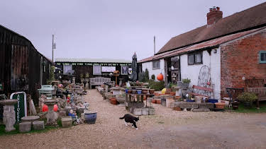 07:30: Antiques Road Trip (S26 E8) (S26) | TV8 | 1/12 2026