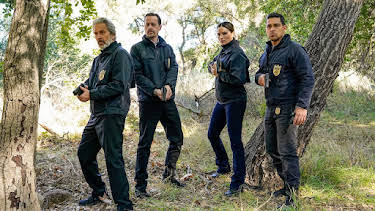 4:00 PM: NCIS (S21 E5) (S21) | 5 USA | 1/1 2026