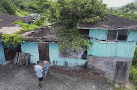 Renovation Aloha, Season 1: There's a Tree Growing Through the Roof!