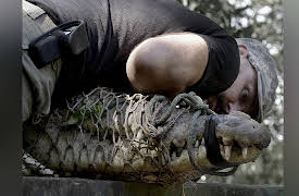 Monster Favorites: Monster Croc: Killer Search