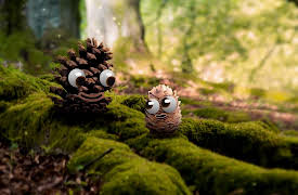 Pops and Peanut: Season 1: Noah