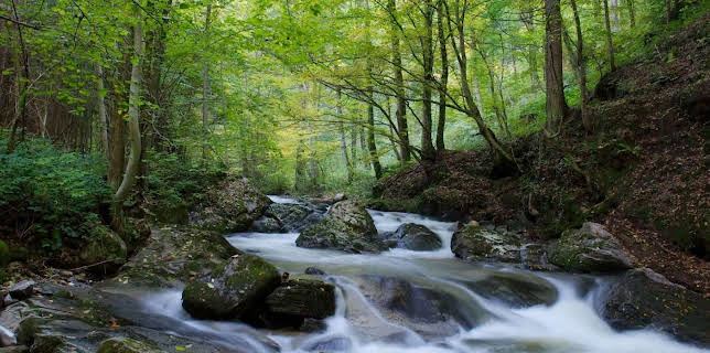 01:50: Reisetipp Südwest | SWR Fernsehen RP | 1/10 2026