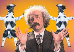 Horrible Science