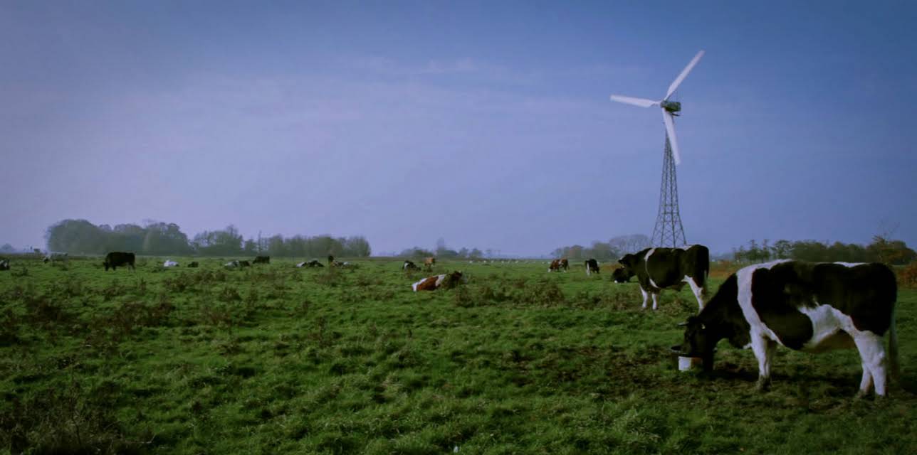 Live and Let Live (2014)