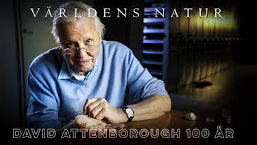 20:00: David Attenborough 100 år | SVT2 | 5/6 2026