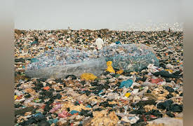 The Earthshot Prize: Repairing Our Planet: Build a Waste-Free World