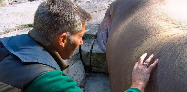 17:10: Leopard, Seebär & Co. (192) | NDR Fernsehen | 11/20 2025