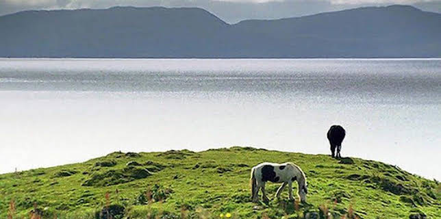 05:45: Schottland - Traditionell und rebellisch | SWR Fernsehen RP | 2/3 2026