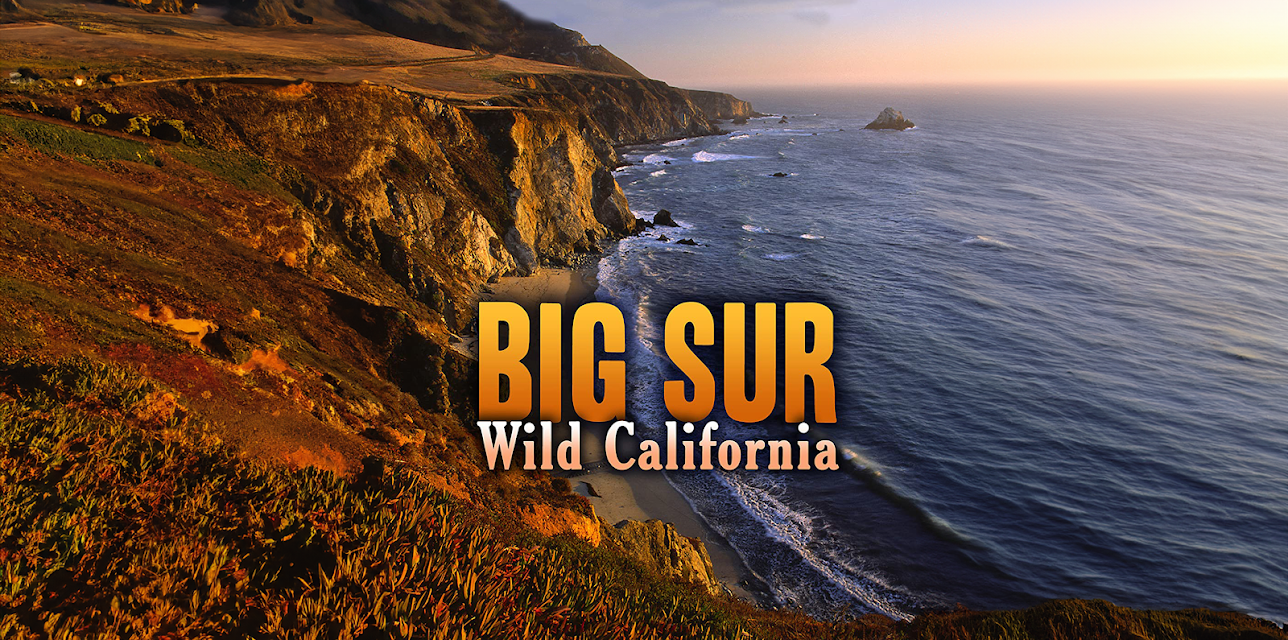 Big Sur: Wild California (2010)