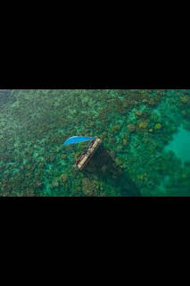 03:50: De polo a polo con Will Smith: El Amazonas: criaturas letales | National Geographic | 7/13 2026
