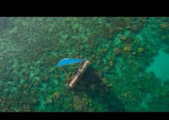 De polo a polo con Will Smith: El Amazonas: criaturas letales