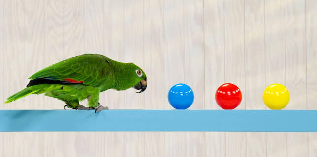 17:00: Minimáná | NRK Super | 11/13 2025