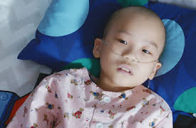 Chocolate: Episode 8