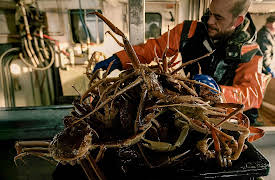 East Harbor Heroes, Season 1: The End of the Line