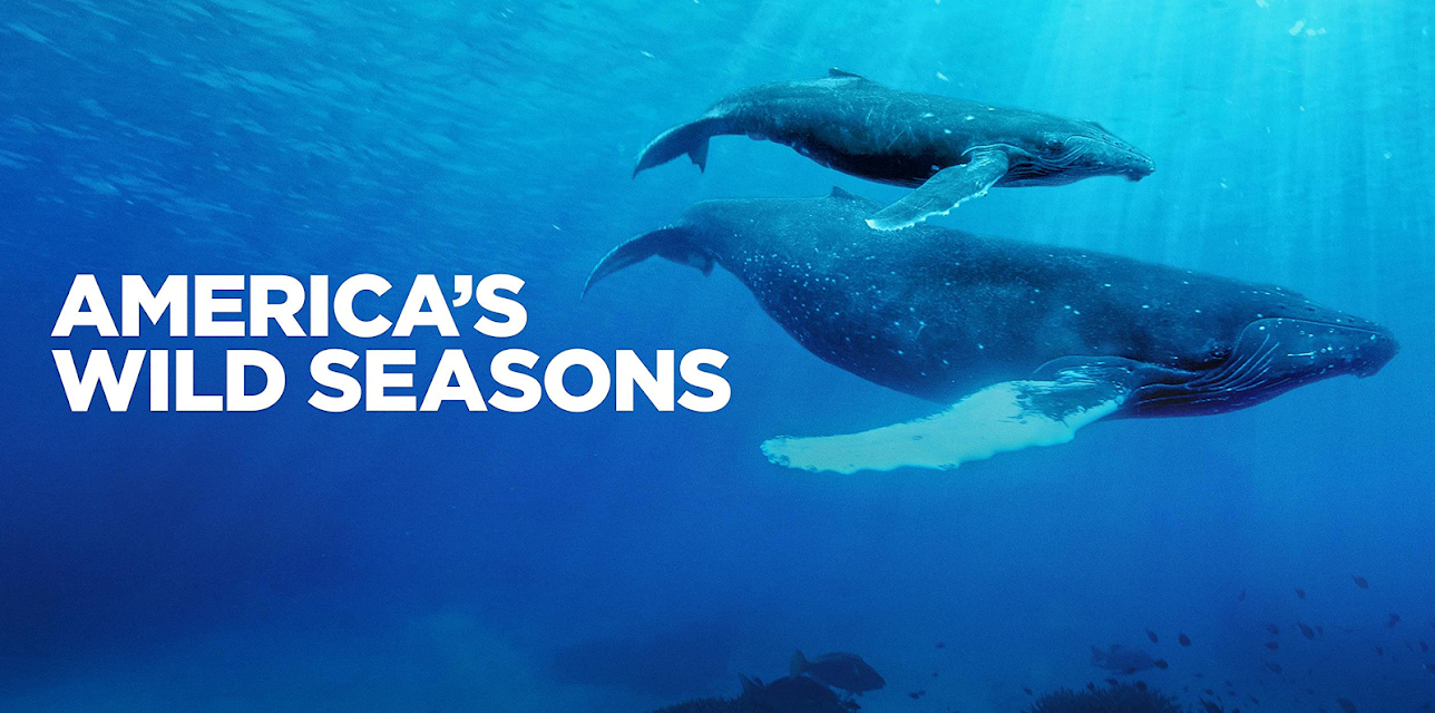 America's Wild Seasons
