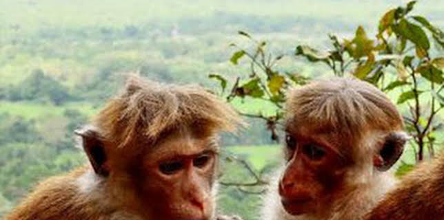 07:54: Voyages vert vous | TV5MONDE | 3/14 2026