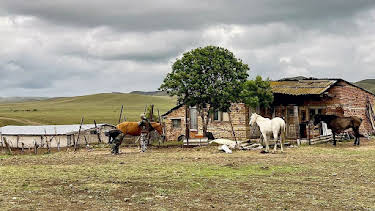 17:50: Georgiens Nationalparks | Arte | 5/27 2026