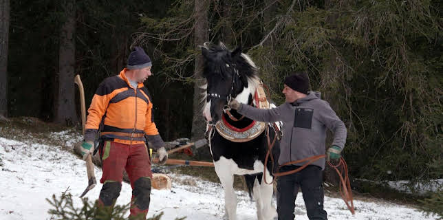 17:30: Winter rund um den Preber | ARD Alpha | 3/6 2026