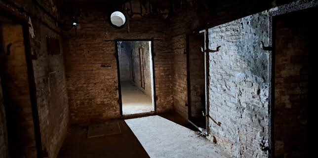 12:15: Berlin von unten - Geschichten aus dem Untergrund | Tagesschau 24 | 2/22 2026