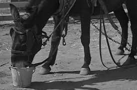 The Real McCoys: You Can't Cheat an Honest Man