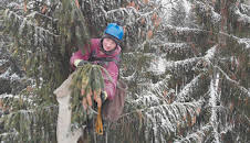 Das war dann mal weg