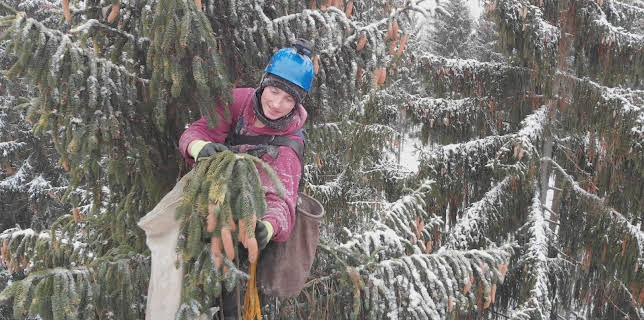 14:10: Das war dann mal weg | ZDFinfo | 10/29 2025