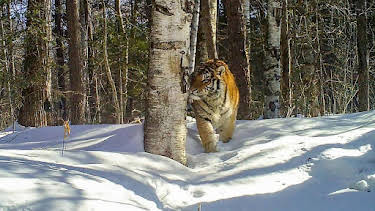 17:30: natur exclusiv | BR Fernsehen | 10/31 2026