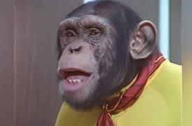 Lancelot Link: Secret Chimp: Lancelot Link: Secret Chimp - Landlubber Lance / The Temporary Thanksgiving Turkey Truce