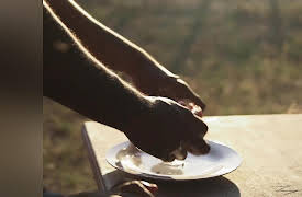 Carluccio's 6 Seasons: Episode 3