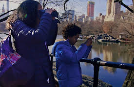 Alma's Way Shorts, Volume 1: My Way: Birdwatching!