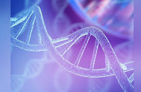 What Darwin Didn't Know: The Modern Science of Evolution: Genome Mutations: Evolution’s Raw Material