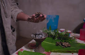 Cómo cambiar tu mente: Capítulo 2: Psilocibina