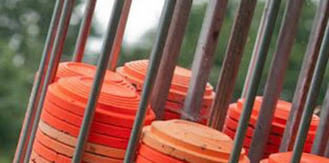 13:34: Así se hace: Gyotaku | Discovery | 2/12 2026