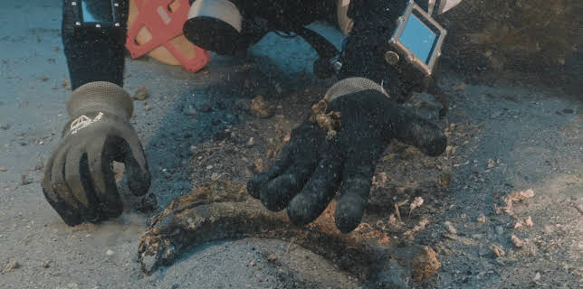 19:30: Mysterium Bermudadreieck | Kabel Eins Doku | 12/26 2025