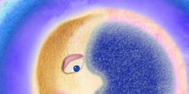 04:30: Sonidos relajantes | Baby TV | 12/8 2025