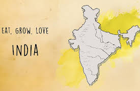 Messages from Bashar the Extraterrestrial: Are We Alone?