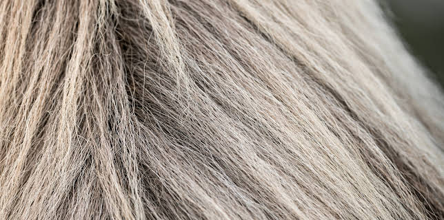 19:45: Hvordan gjør de det? (S13 E10) (S13) | Discovery Science | 11/24 2025